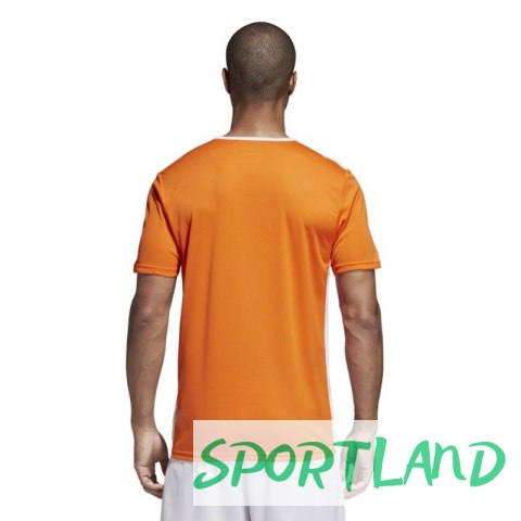 Koszulka piłkarska adidas Entrada 18 CD8366 S Koszulka piłkarska adidas Entrada 18 CD8366 S