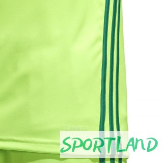 Koszulka piłkarska adidas Regista 18 Jersey M CE8973 164