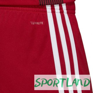 Spodenki adidas Tastigo 19 Shorts M DP3681 M
