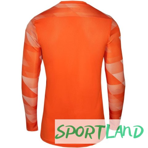 Koszulka Nike Dry Park IV JSY LS GK Jr CJ6072-819 XS Koszulka Nike Dry Park IV JSY LS GK Jr CJ6072-819 XS