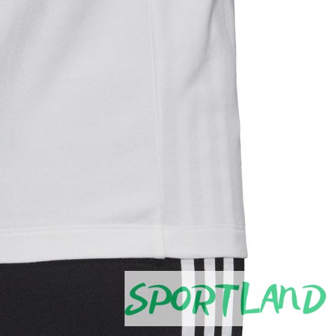 Koszulka adidas Trefoil Tee W FM3306 34 Koszulka adidas Trefoil Tee W FM3306 34