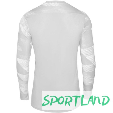 Koszulka Nike Dry Park IV JSY LS GK Jr CJ6072-052 122 cm Koszulka Nike Dry Park IV JSY LS GK Jr CJ6072-052 122 cm