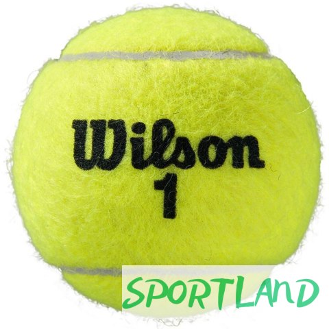 Piłki do tenisa ziemnego Wilson Roland Garros All Court 3 szt. WRT126400 N/A Piłki do tenisa ziemnego Wilson Roland Garros All Court 3 szt. WRT126400 N/A