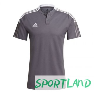 Koszulka adidas Tiro 21 Polo M GM7364 S