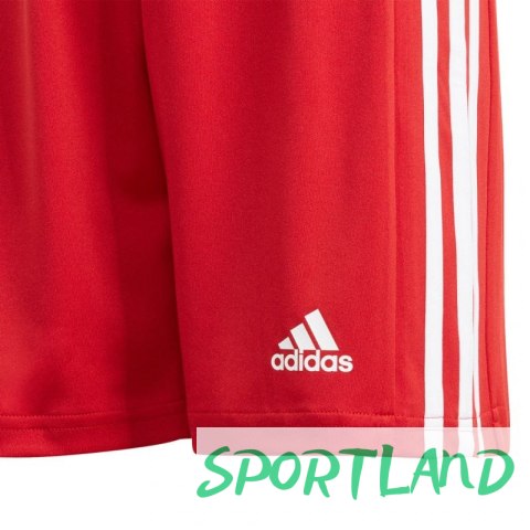 Spodenki adidas Squadra 21 Short Youth Jr GN5761 140cm Spodenki adidas Squadra 21 Short Youth Jr GN5761 140cm