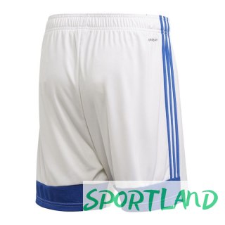 Spodenki adidas Tastigo 19 Shorts M FI6355 S