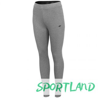 Legginsy 4F W H4L21 LEG010 24M S
