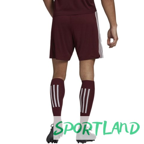 Spodenki adidas Squadra 21 Short M GN8083 S Spodenki adidas Squadra 21 Short M GN8083 S