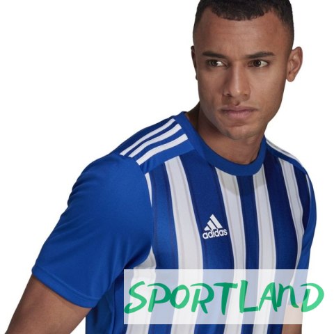 Koszulka adidas Striped 21 JSY M GH7321 M Koszulka adidas Striped 21 JSY M GH7321 M