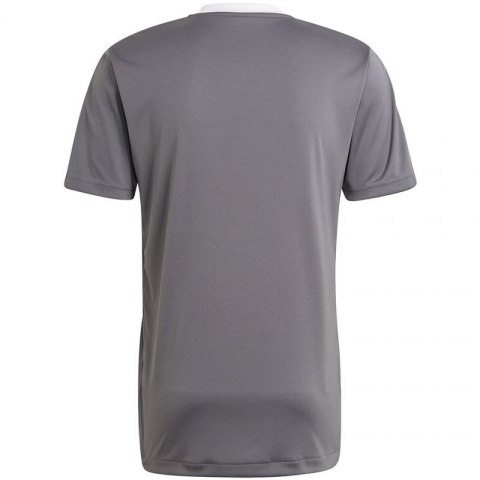 Koszulka adidas Tiro 21 Training Jersey M GM7587 S Koszulka adidas Tiro 21 Training Jersey M GM7587 S