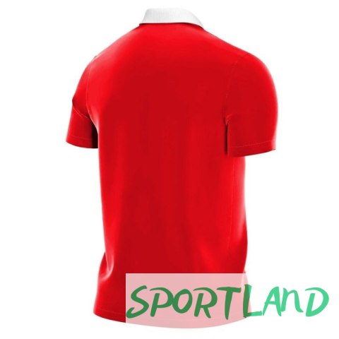 Koszulka Nike Park 20 M CW6933 657 L Koszulka Nike Park 20 M CW6933 657 L
