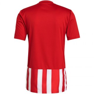 Koszulka adidas Striped 21 Jersey M GN7624 XXL