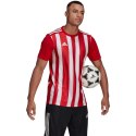 Koszulka adidas Striped 21 Jersey M GN7624 XXL