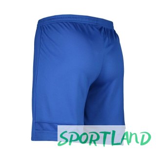 Spodenki Nike Dry Academy 21 M CW6107-480 XL