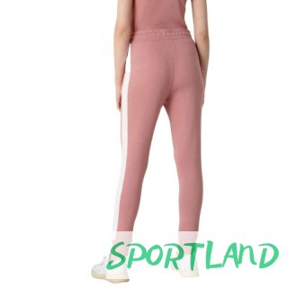Spodnie 4F W H4Z21 SPDD013 65S L