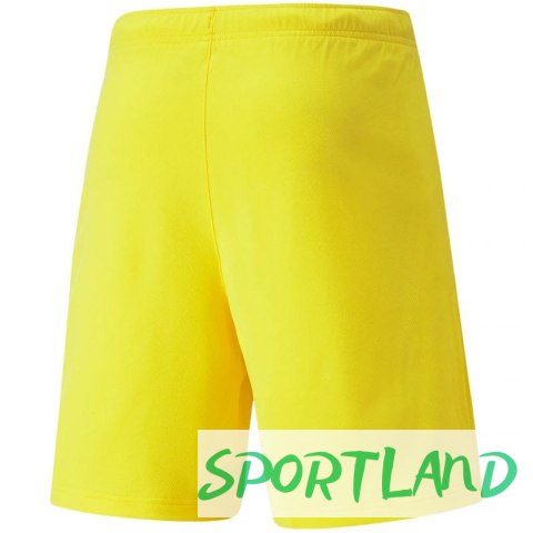 Spodenki Puma teamRISE Cyber M 704942 07 L Spodenki Puma teamRISE Cyber M 704942 07 L