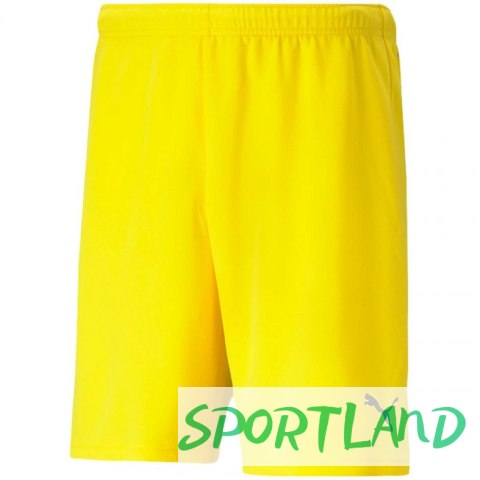 Spodenki Puma teamRISE Cyber M 704942 07 M Spodenki Puma teamRISE Cyber M 704942 07 M