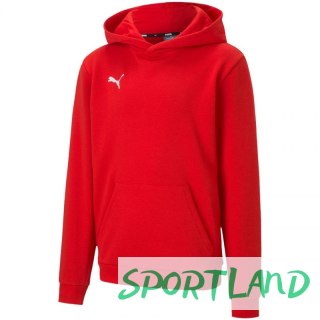 Bluza Puma teamGOAL 23 Casuals Hoody Jr 656711 01 152