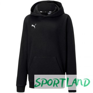 Bluza Puma teamGOAL 23 Casuals Hoody Jr 656711 03 116