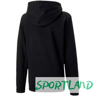 Bluza Puma teamGOAL 23 Casuals Hoody Jr 656711 03 116