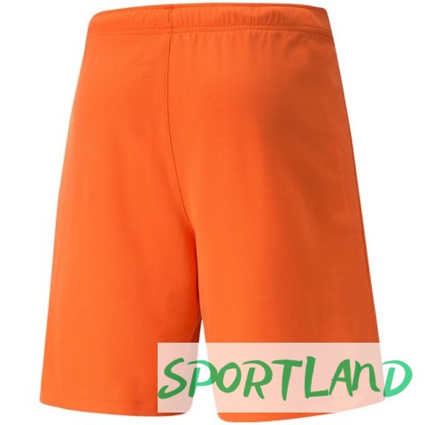 Spodenki Puma teamRise Short Prist M 704942 08 XL Spodenki Puma teamRise Short Prist M 704942 08 XL