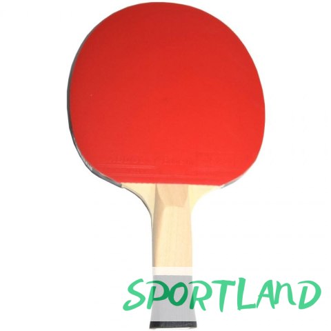 Rakietka do ping ponga Butterfly Timo Boll SG11 85012 N/A Rakietka do ping ponga Butterfly Timo Boll SG11 85012 N/A