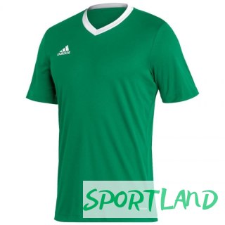 Koszulka adidas Entrada 22 Jersey M HI2123 3XL