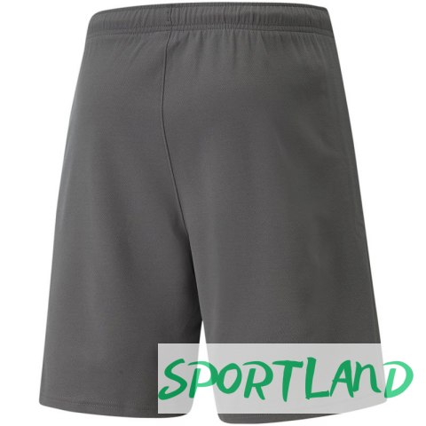 Spodenki Puma teamRise Short M 704942 13 M Spodenki Puma teamRise Short M 704942 13 M