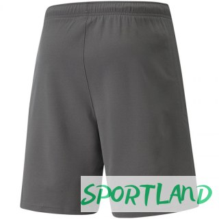 Spodenki Puma teamRise Short M 704942 13 S