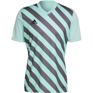 Koszulka adidas Entrada 22 Graphic Jersey M HF0119 XL