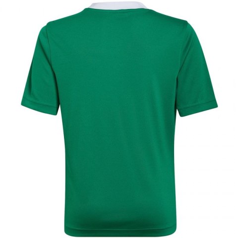 Koszulka adidas Entrada 22 Jersey Jr HI2126 140 cm Koszulka adidas Entrada 22 Jersey Jr HI2126 140 cm