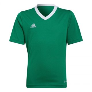 Koszulka adidas Entrada 22 Jersey Jr HI2126 176cm