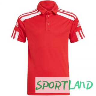 Koszulka adidas Squadra 21 Polo Jr GP6423 128cm