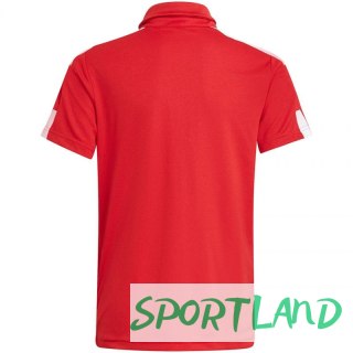 Koszulka adidas Squadra 21 Polo Jr GP6423 164 cm