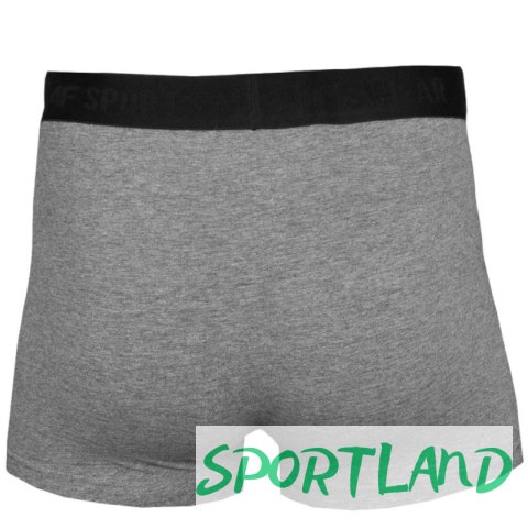 Bokserki 4F Men's Briefs M H4L22-BIM350-90M S
