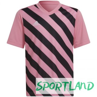 Koszulka adidas Entrada 22 Graphic Jersey Jr HC2632 128 cm