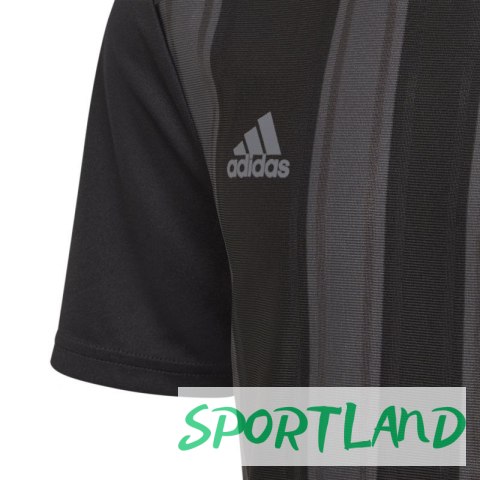 Koszulka adidas Striped 21 Jr GN7634 176 Koszulka adidas Striped 21 Jr GN7634 176