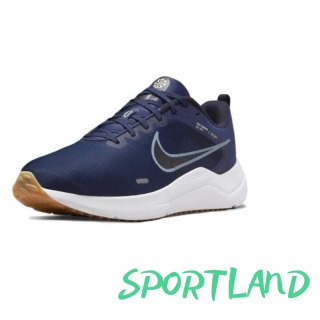Buty Nike Downshifter 12 M DD9293-400 45.5