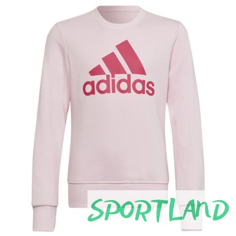 Bluza adidas Big Logo SWT Jr HM8709 164 cm Bluza adidas Big Logo SWT Jr HM8709 164 cm