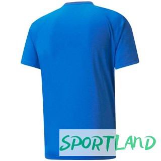 Koszulka Puma teamVision Jersey M 704921 02 M