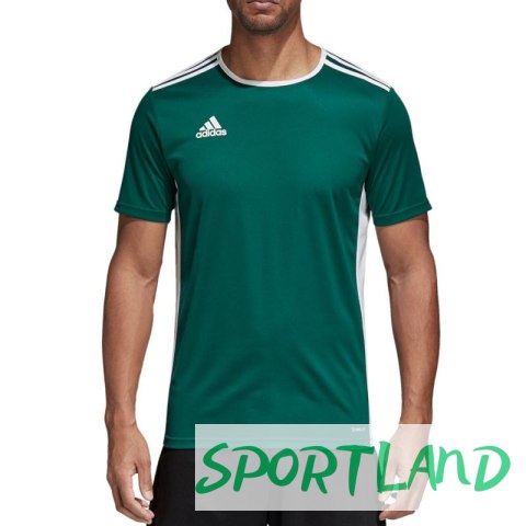 Koszulka adidas Entrada 18 Jr CD8358 116cm