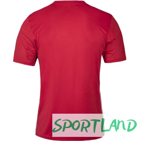 Koszulka adidas Tabela 23 Jersey M HT6552 M Koszulka adidas Tabela 23 Jersey M HT6552 M