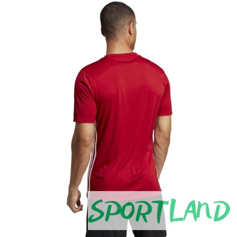 Koszulka adidas Tabela 23 Jersey M HT6552 M Koszulka adidas Tabela 23 Jersey M HT6552 M