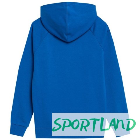Bluza 4F Jr 4FJSS23TSWSM220 36S 128cm Bluza 4F Jr 4FJSS23TSWSM220 36S 128cm