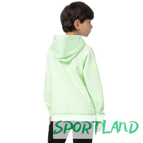 Bluza 4F Jr 4FJSS23TSWSM220 42S 164cm Bluza 4F Jr 4FJSS23TSWSM220 42S 164cm