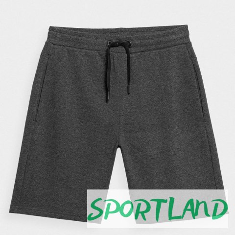 Spodenki 4F M 4FSS23TSHOM156 23M L Spodenki 4F M 4FSS23TSHOM156 23M L