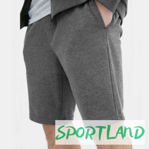 Spodenki 4F M 4FSS23TSHOM156 23M L Spodenki 4F M 4FSS23TSHOM156 23M L
