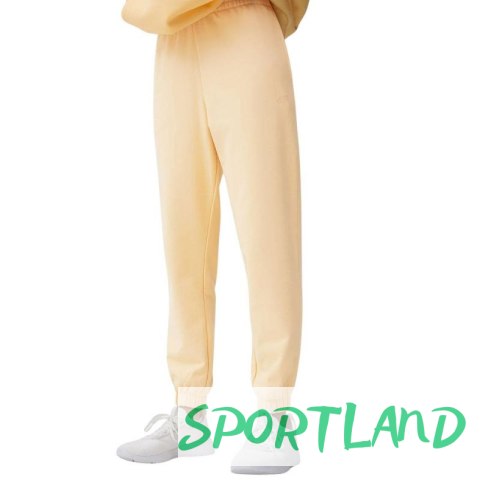Spodnie 4F W 4FSS23TTROF147 73S XL