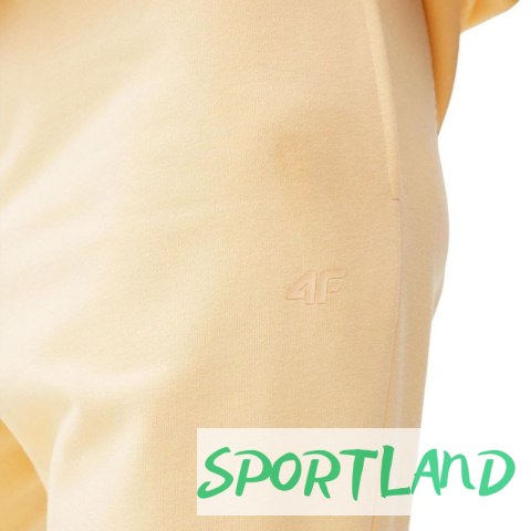 Spodnie 4F W 4FSS23TTROF147 73S XL