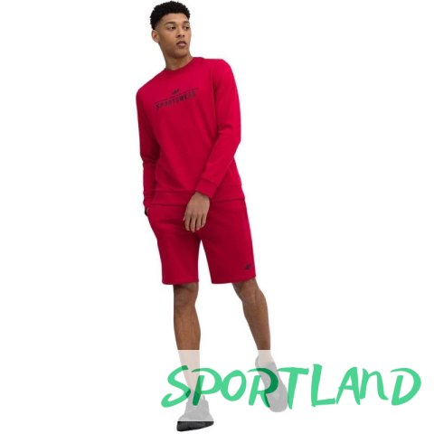 Spodenki 4F M156 M 4FSS23TSHOM156 62S L Spodenki 4F M156 M 4FSS23TSHOM156 62S L